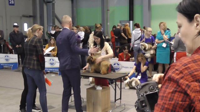 моно ши тцу SVEIN BJOERNES (DENMARK) смотреть онлайн