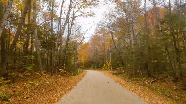 3 HRS Sunny Day Drive In New Hampshire - 4K Scenic Fall Foliage Season In New England