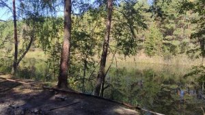 Видео после завтрака