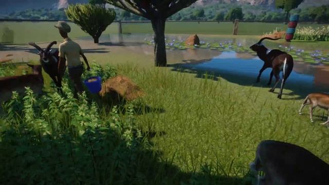 ANIMAL SHOWCASE! All The New Wetland Pack Animals (Planet Zoo) смотреть онлайн