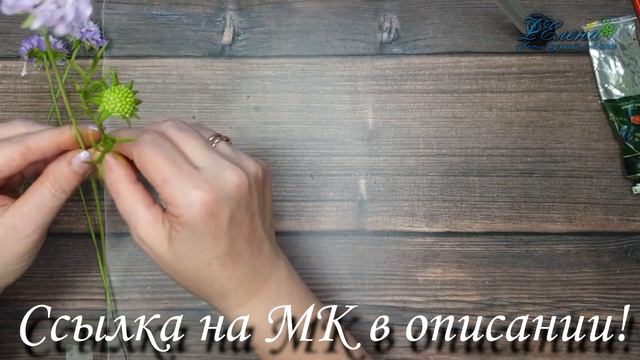?МК Скабиоза.. Promo - ролик? смотреть онлайн