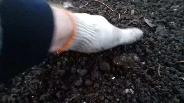 Как|ПРАВИЛЬНО|ПОСАДИТЬ|КАПУСТУ|БЕЛОКОЧАННУЮ|ЦВЕТНУЮ|КАК ПОЛУЧИТЬ ОТЛИЧНЫЙ УРОЖАЙ? смотреть онлайн