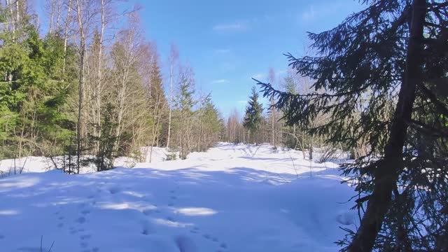 "Иду в обход" \ Зимний поход с ночёвкой смотреть онлайн