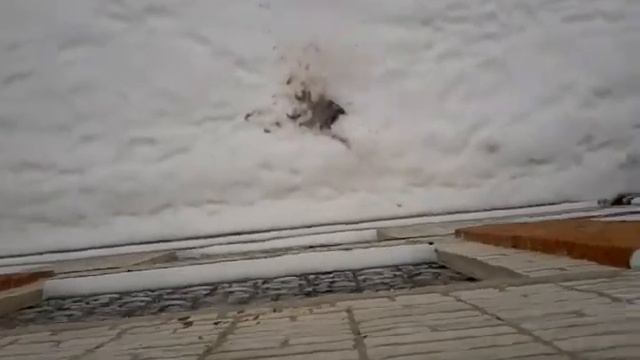 Борщ в окно! литров 10