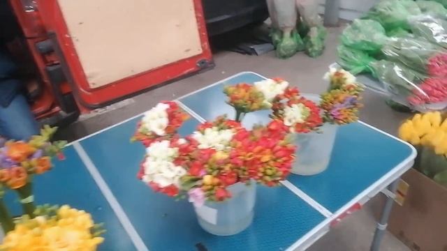 Цветы для букетов Краснодар оптовый рынок 27 февраля смотреть онлайн