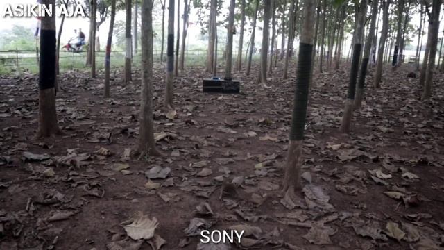 SONY SRS-XB30 VS JBL CHARGE 4 // Who is The Winner??? ?? смотреть онлайн