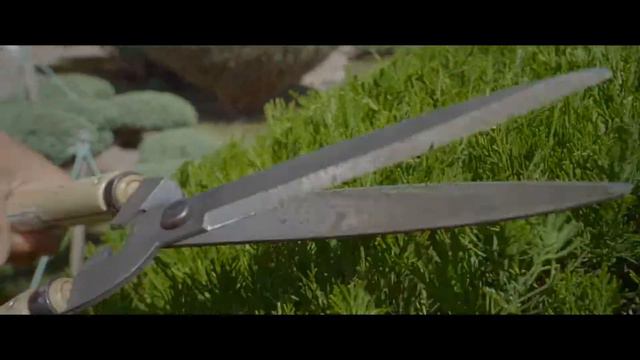 Топиарная стрижка смотреть онлайн