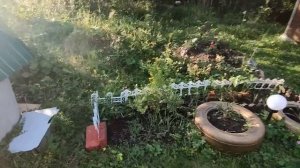 8). новая покупочка #косилка bosch arm 34