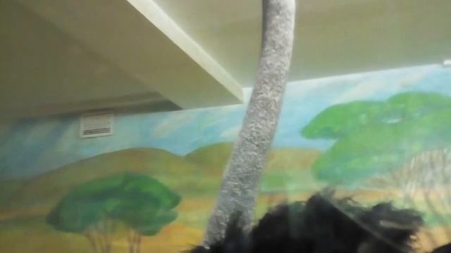 В зоопарке! смотреть онлайн