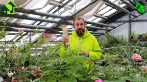 ВРАГИ ОГОРОДА, ТРЕПЕЩИТЕ! АИДИС - самый страшный кошмар БОЛЕЗНЕЙ и ВРЕДИТЕЛЕЙ ваших любимых растени