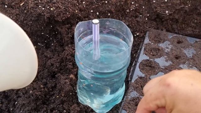 Выращивание томатов от А до Я. часть1 смотреть онлайн