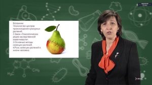 Биология - 10 класс -  Методы селекции растений и животных