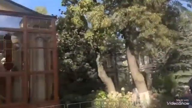 Святая Матрона Московская #vlogbynikaмосковскиебудни#святаяматрона #матронамосковская #матронушка смотреть онлайн