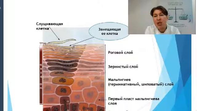 комбинация пилингов смотреть онлайн