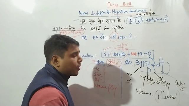 Present Indefinite Tense | Negative Sentence | Present Simple Tense | смотреть онлайн