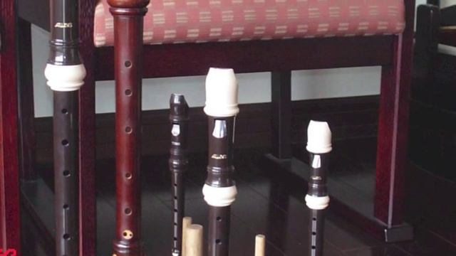 Bach, Flute Partita, BWV 1013, Allemande смотреть онлайн