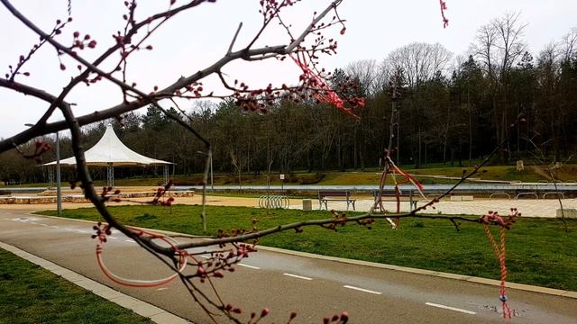 Градски парк Добрич 15.03.2020 г. смотреть онлайн