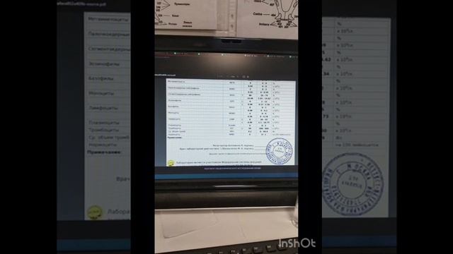 Срочно Нужна помощь Коту Буси смотреть онлайн
