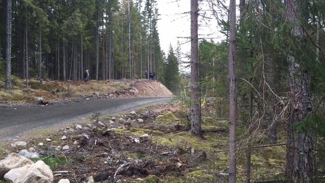 Team Nybe Robin Sandberg Test смотреть онлайн