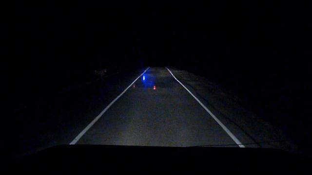 кошка полосатая смотреть онлайн