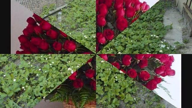 ЦВЕТЫ ЦВЕТЫ ЦВЕТОЧКИ смотреть онлайн