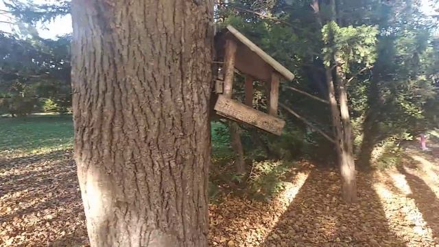 Плюсы жизни в Краснодаре. Вот за что мы любим Краснодар) Погода в Краснодаре. Переезд в Краснодар. смотреть онлайн
