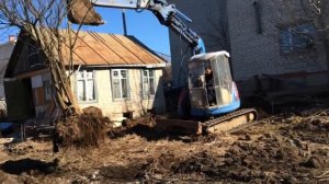 Пересадка сирени