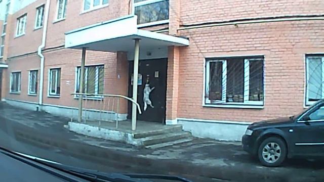 собачка пытается набрать номер квартиры смотреть онлайн