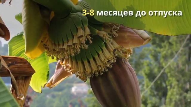 Мастерство и Креатив