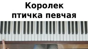 КОРОЛЕК ПТИЧКА ПЕВЧАЯ НА ПИАНИНО как сыграть на фортепиано УРОК Çalıkuşu Calikusu обучение разбор