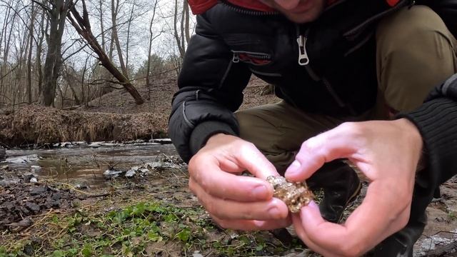Alaska: Finding Gold In River | Gold Fever! смотреть онлайн