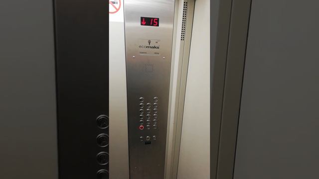 Лифт щлз экомакс 2017 кг 1000 м/с 1 6 смотреть онлайн