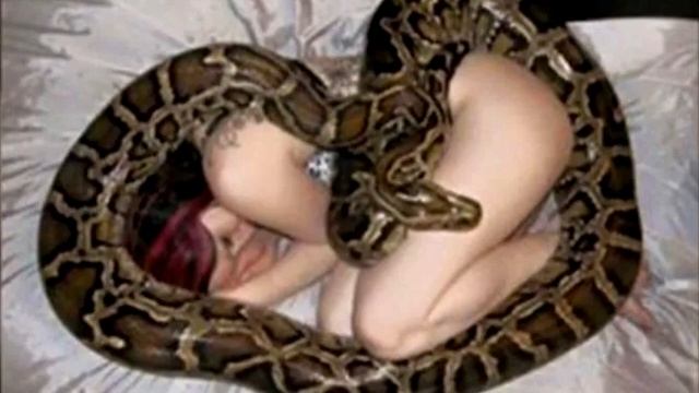 Девушка обожала спать с питоном, но змея вдруг стала худеть. Причина ужасает! смотреть онлайн