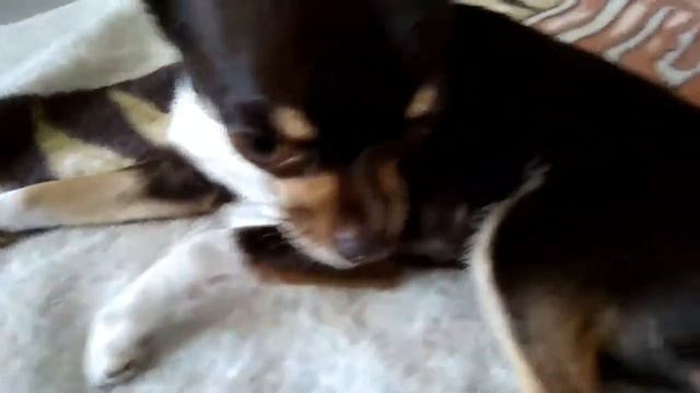 Как Сонька просыпается :) смотреть онлайн