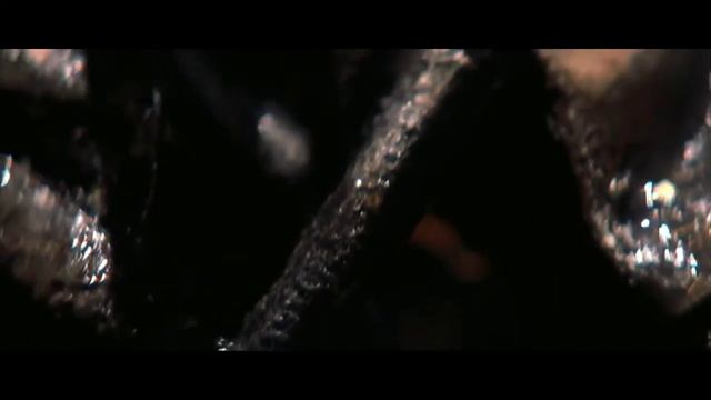 Крипер впадает в спячку. "Джиперс Криперс"2 смотреть онлайн