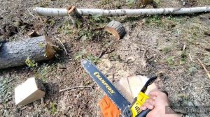 Chаmpion 362.Реальный отзыв не профессионала о  бензопиле.