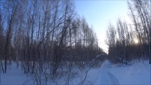Тайга варяг 550 по глубокому снегу!!!Заводим и снова меняем свечи!!!