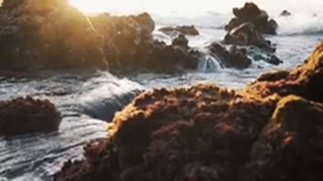 Meditation Relax Mind Body Sleep