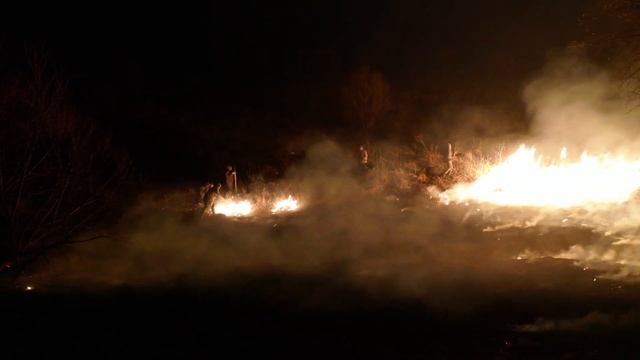 Травяной Пожар в Живой Картине смотреть онлайн