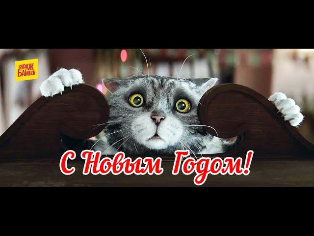 Новогодняя история Sainsbury`s (озвучка Кураж-Бамбей) смотреть онлайн