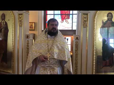 А как ты к Богу относишься? Проповедь священника Владимира Чебышева. смотреть онлайн