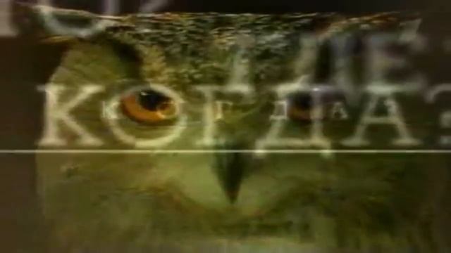 следуй за ЧГК смотреть онлайн