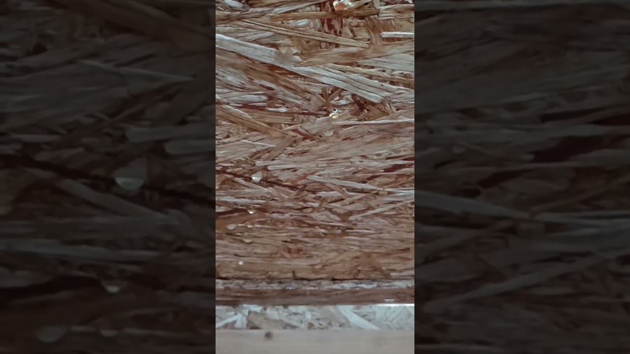 Паропроницаемость ОСП .Наглядный пример. смотреть онлайн