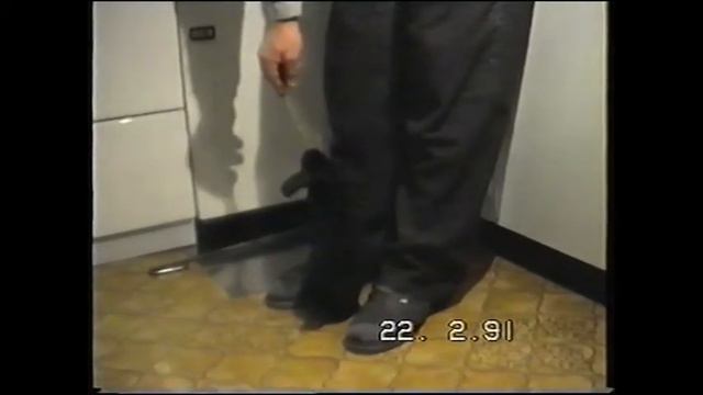 Hase NIKI смотреть онлайн