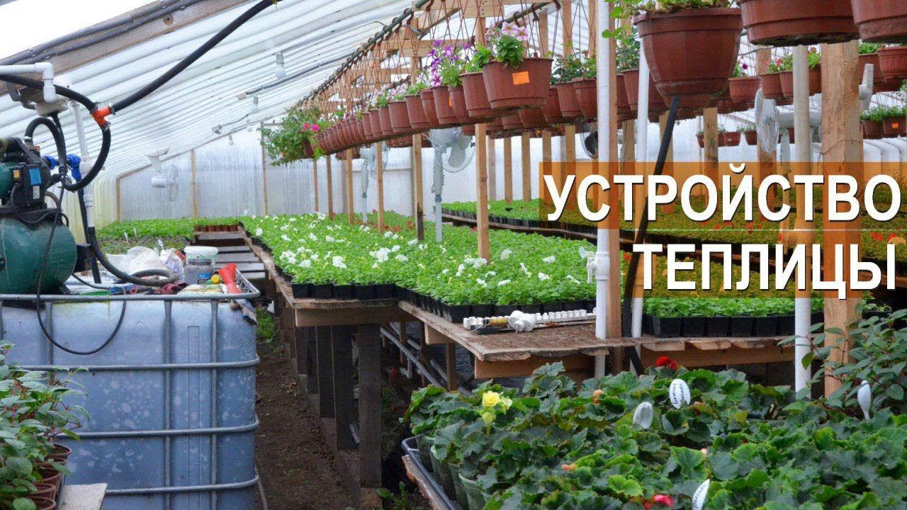 Устройство теплицы для выращивания цветов. Цветочный бизнес Кайгородцевых. смотреть онлайн