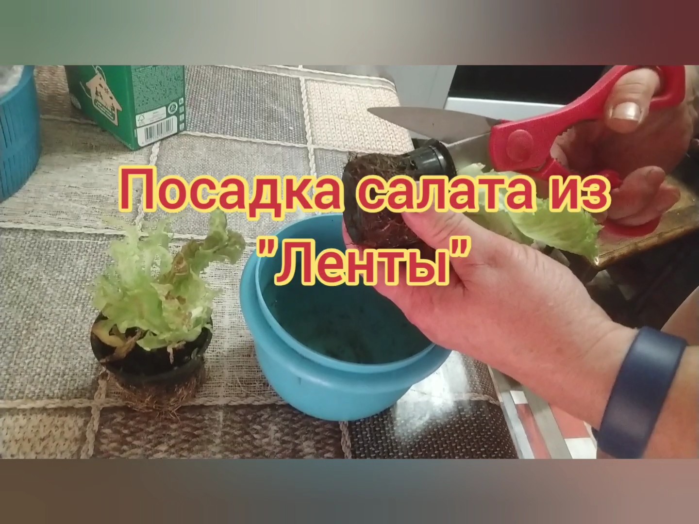 Салат из ленты,лайфхак.