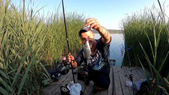 Рыбалка на карася в жару на озере Межура. Круглый атакует без перерыва. Наловил на три сковородки. смотреть онлайн