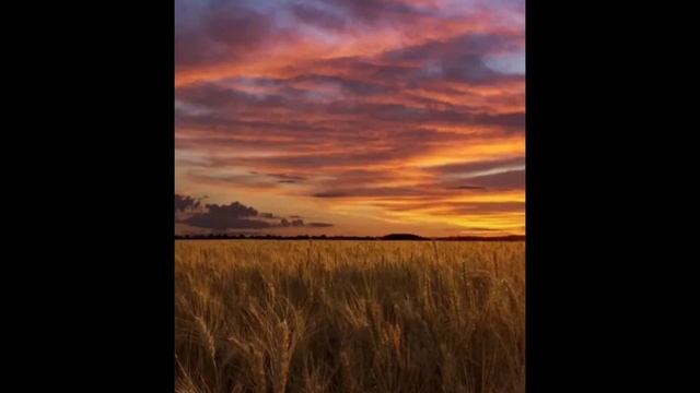 Скинь фото, если бы я была... смотреть онлайн