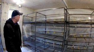 Клетки для бройлеров своими руками.