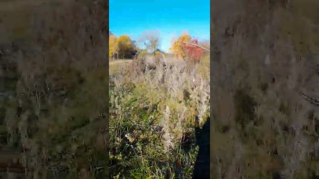 12 октября 2021 г.(1) смотреть онлайн